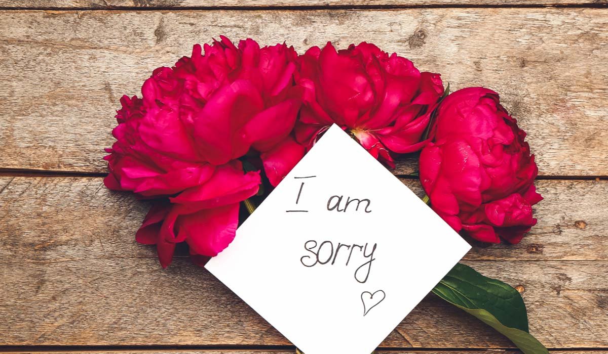 Different Apology Flower Varieties