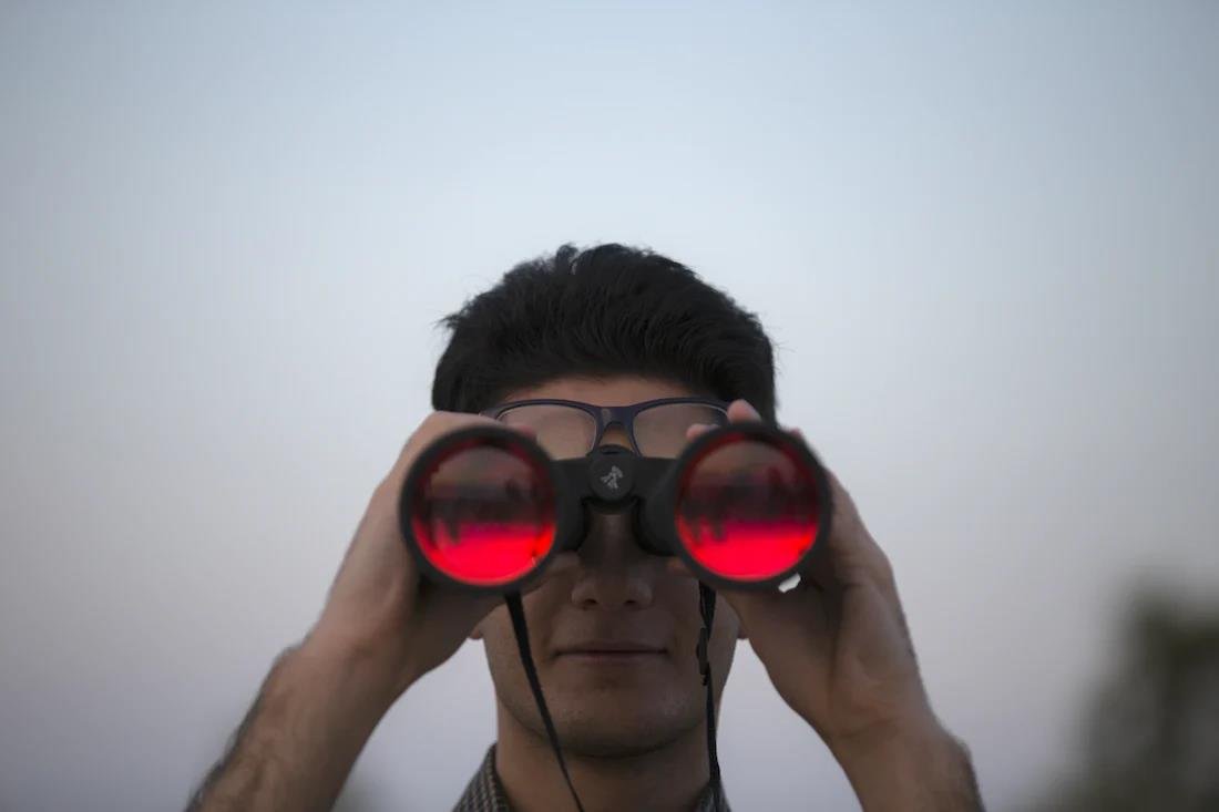 Best Binoculars For Spotting Distant Landscapes And Hidden Wildlife