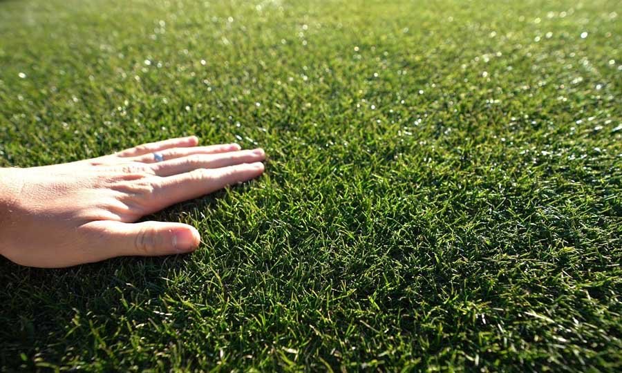 How to keep your lawn healthy all season long