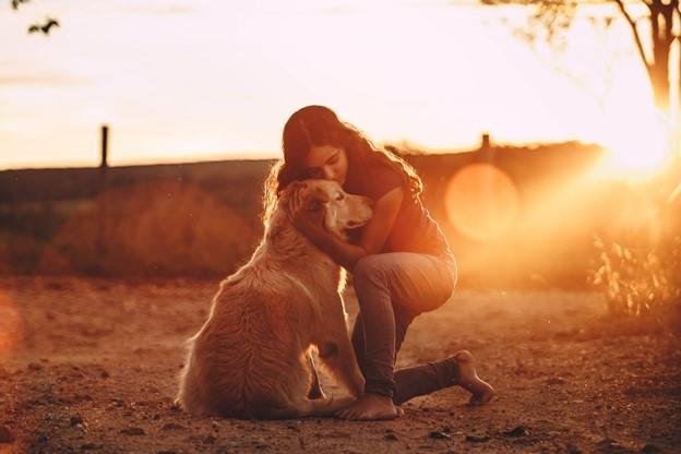 Characteristics of Emotional Support Animal