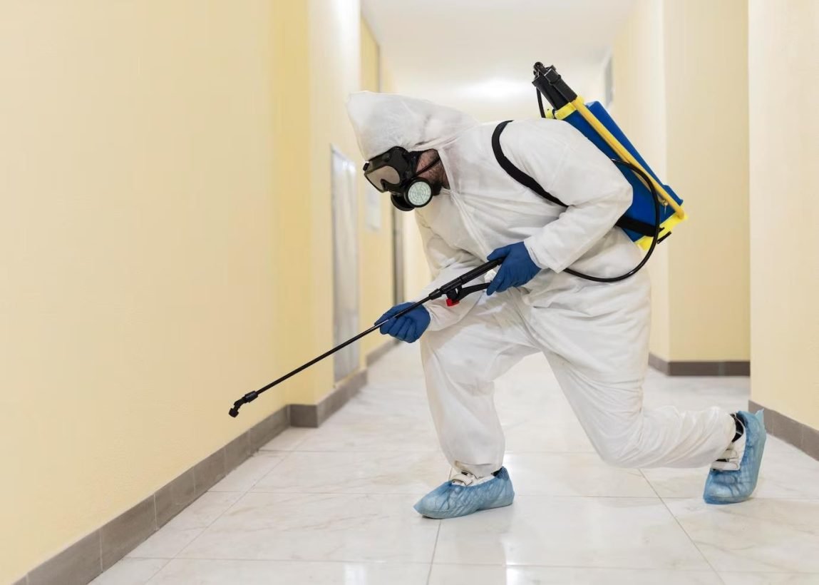 The Benefits of Regular Pest Control Maintenance