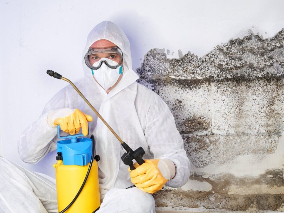 How a Mold Remediation Certificate Can Increase the Value of Your Property