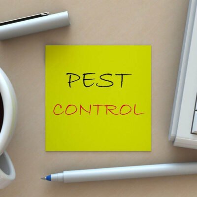 The Top Emergency Pest Control Techniques for Different Types of Pests