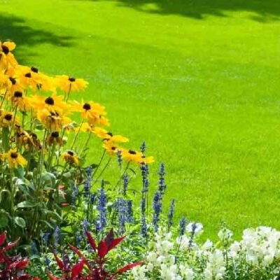 How to Balance Functionality and Beauty in Landscape Design