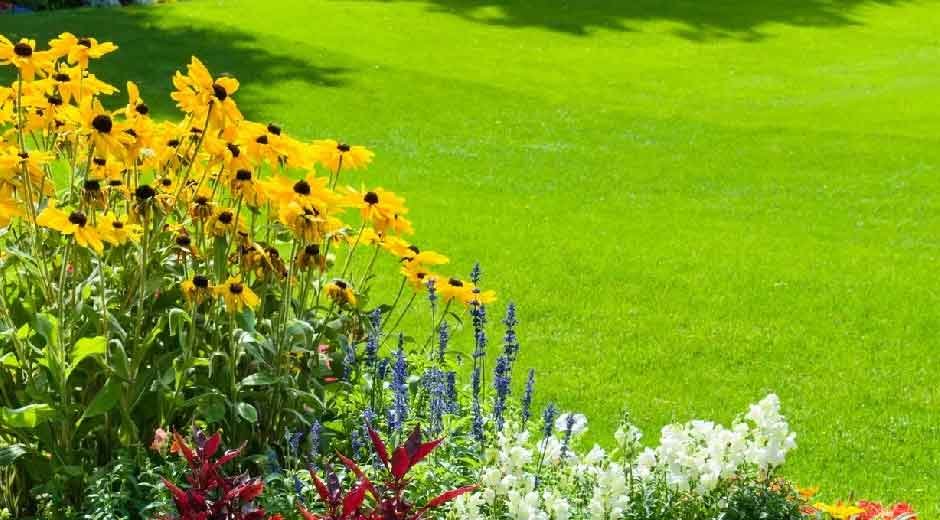 How to Balance Functionality and Beauty in Landscape Design